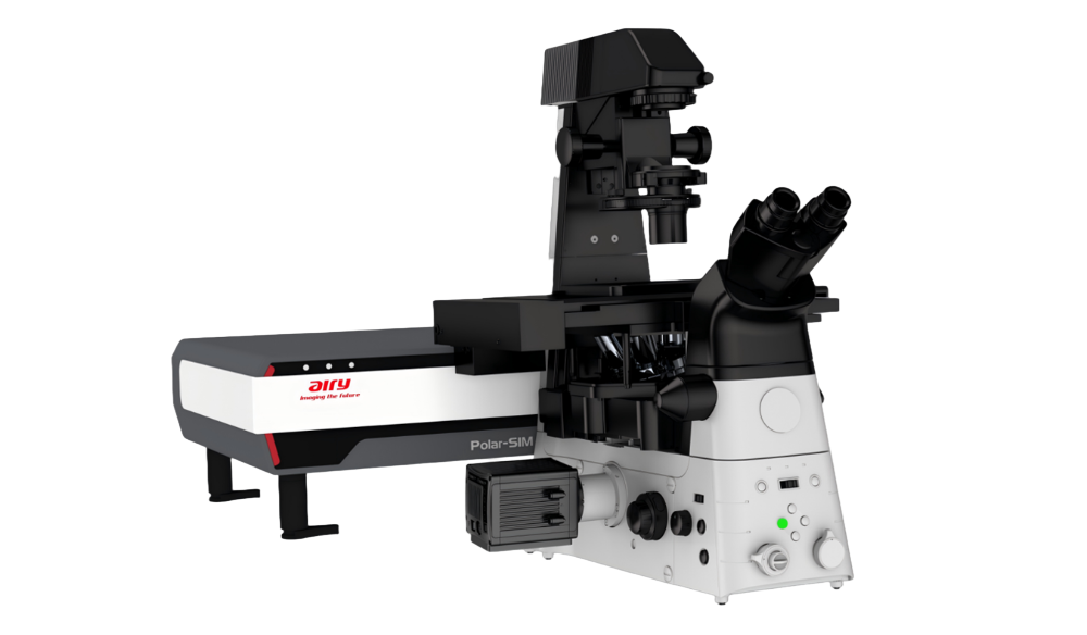 Polar-SIM Polarized Structured Illumination Super-Resolution Microscopy System