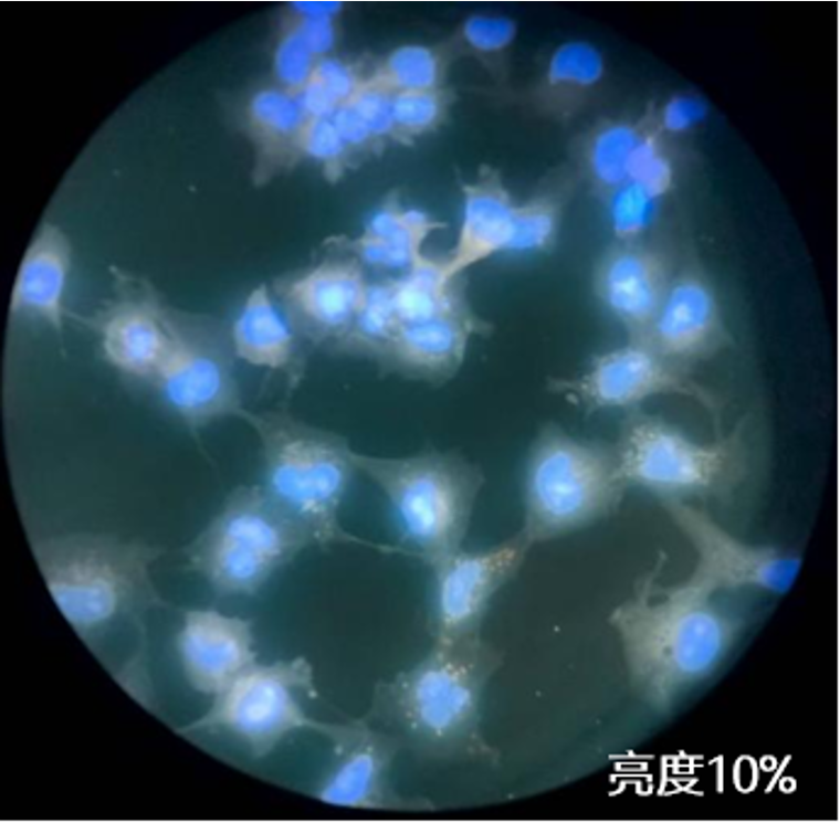 左侧图片