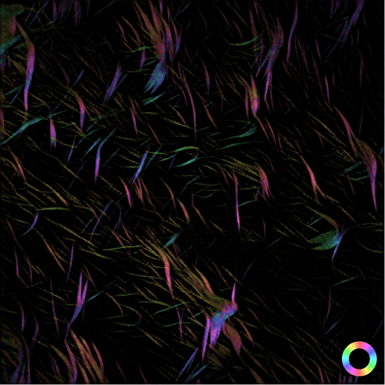 图片1描述