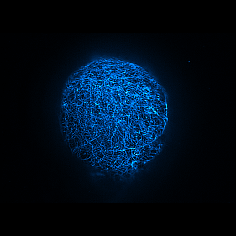 图片1描述