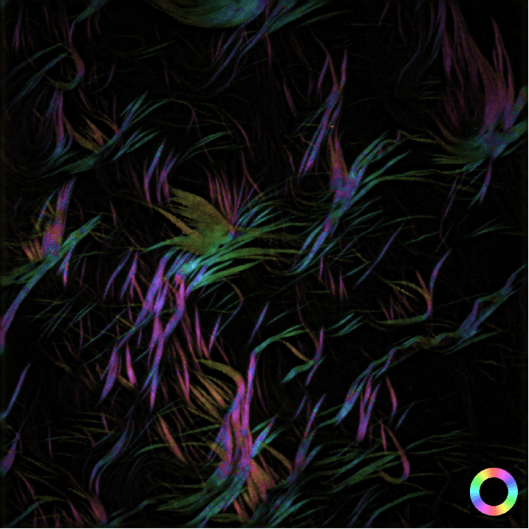 图片1描述