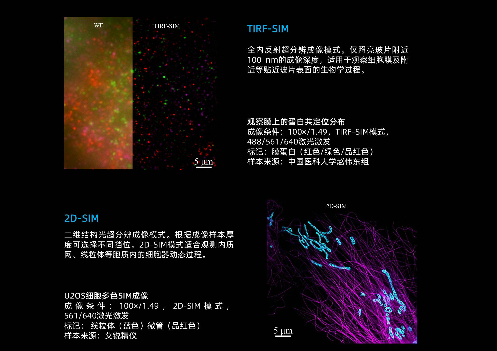 幻灯片4_副本.JPG