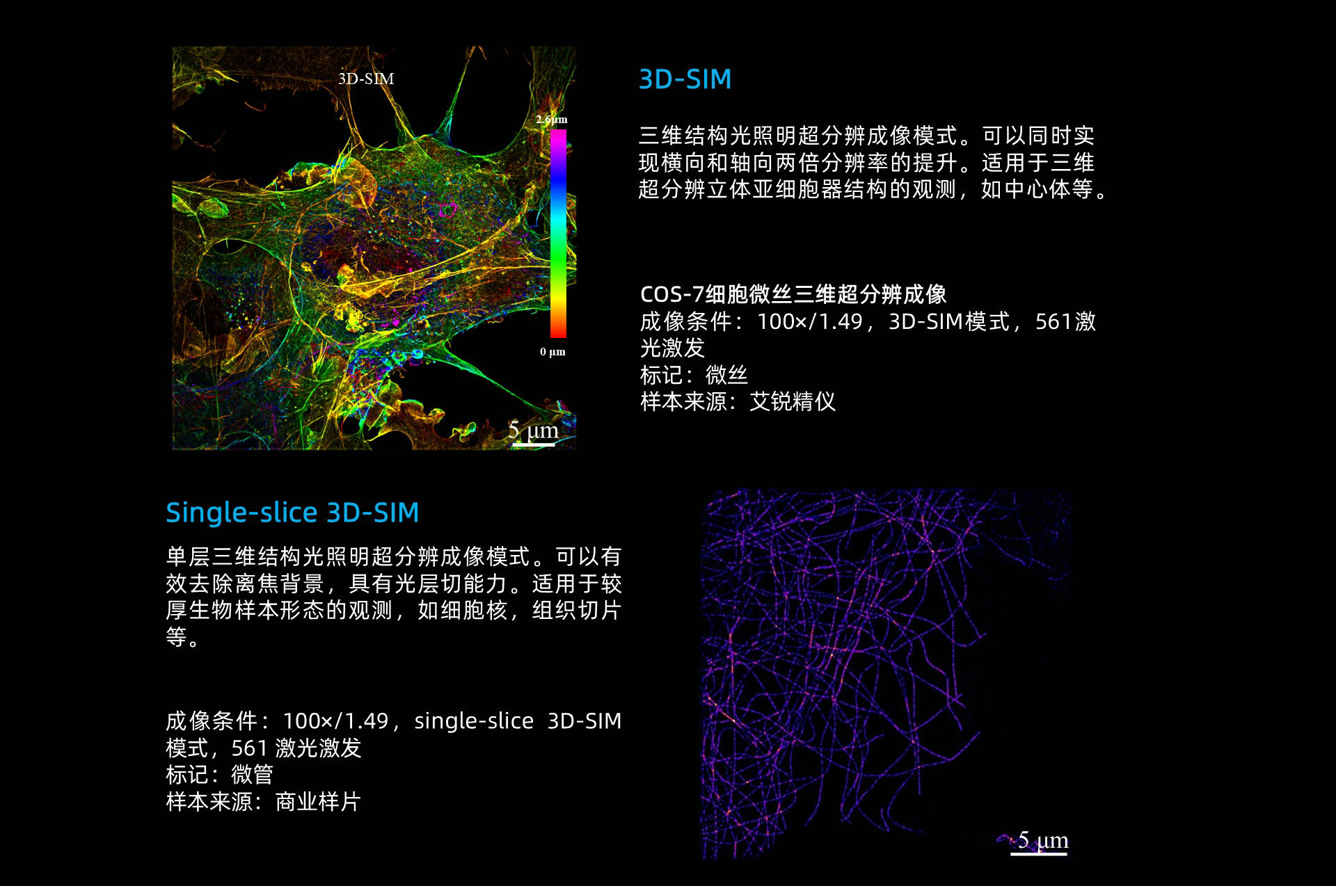 幻灯片5.JPG