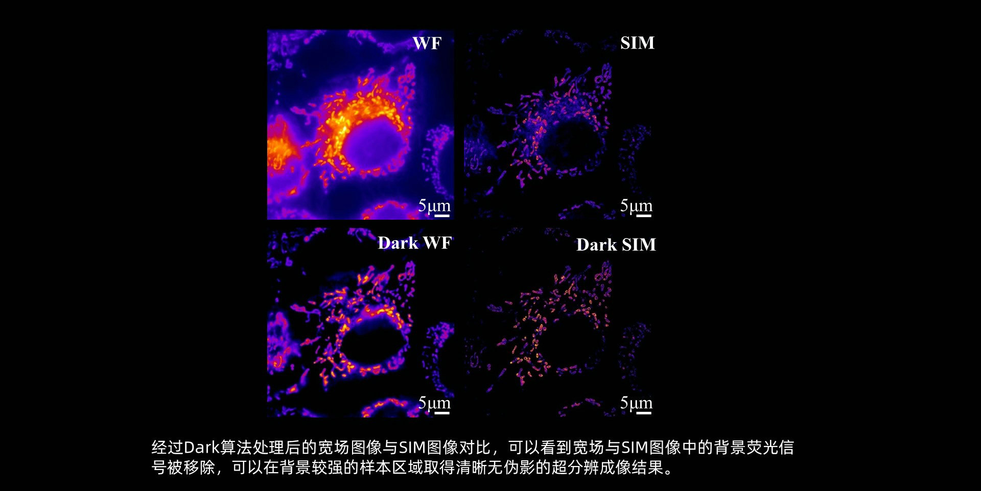 幻灯片9.JPG
