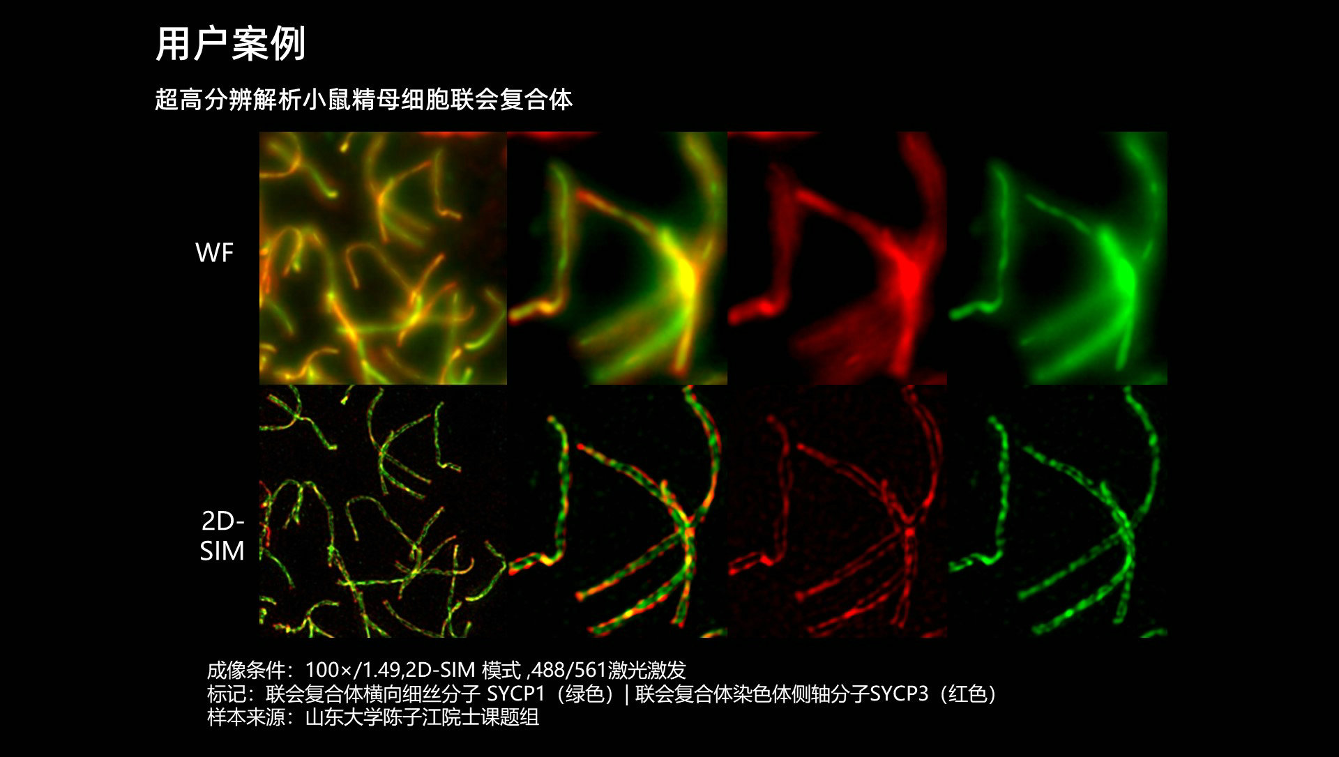 幻灯片12.JPG