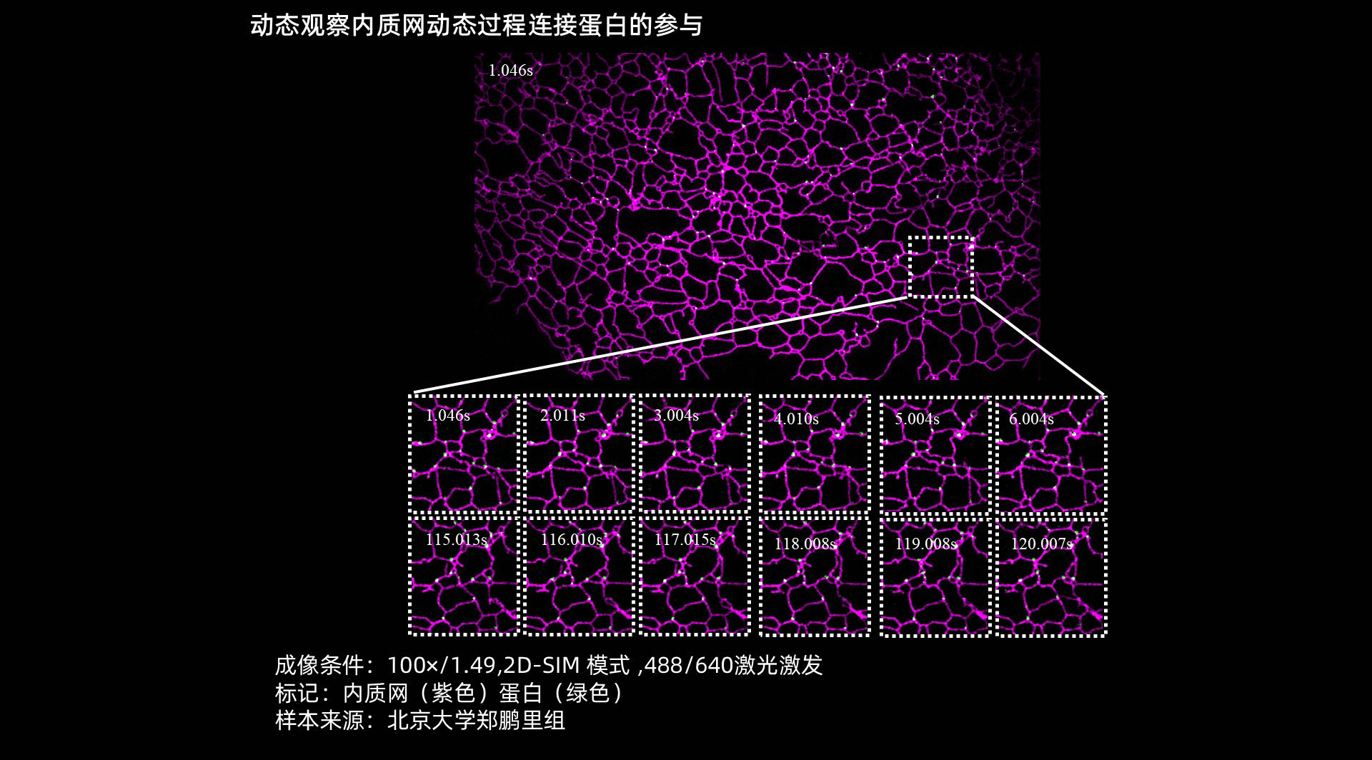 幻灯片13.JPG