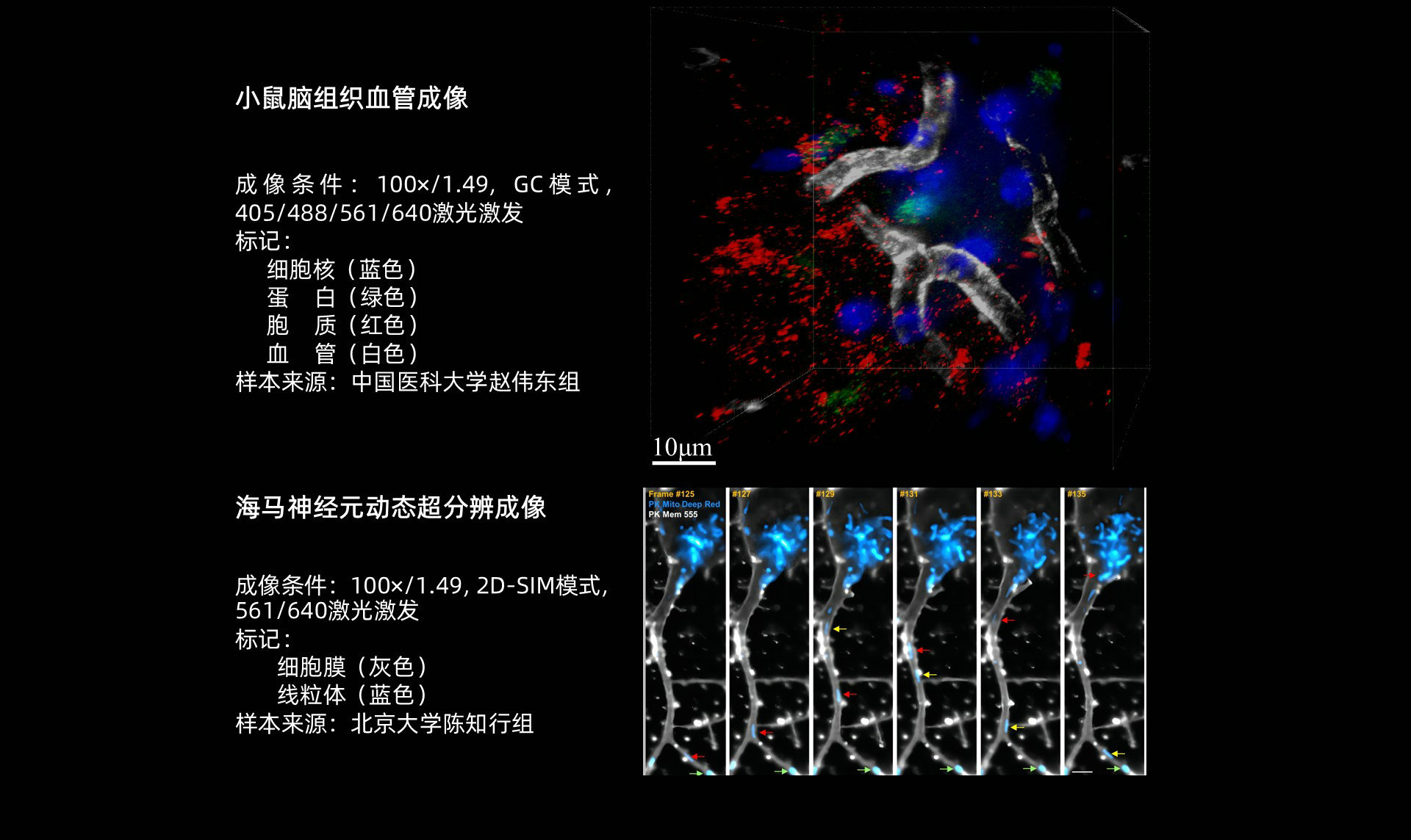 幻灯片14.JPG