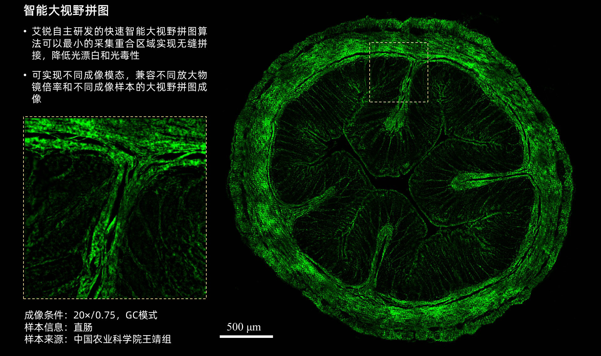 幻灯片16.JPG