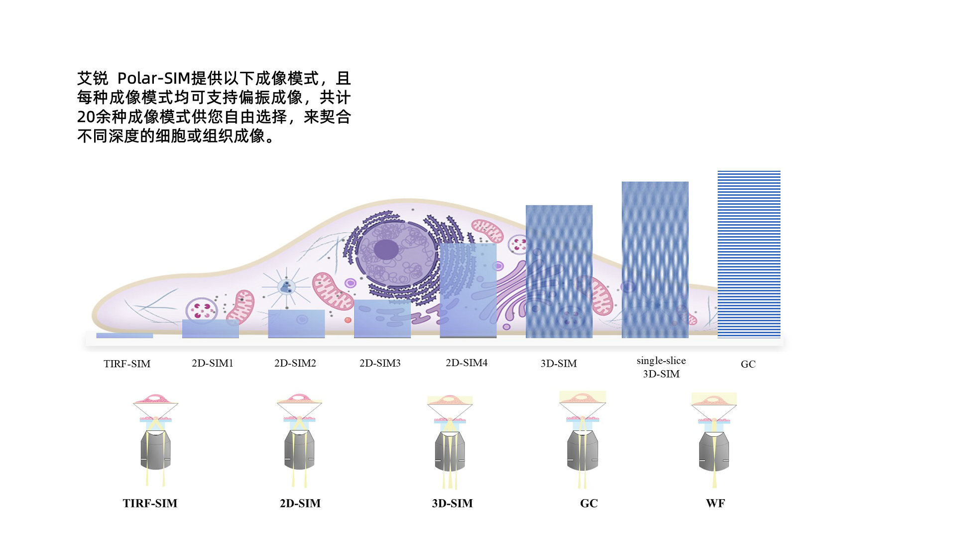幻灯片3_副本.JPG