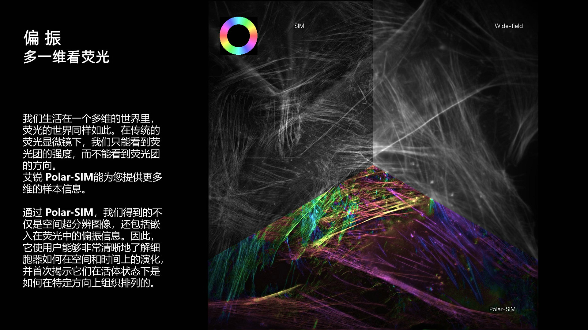 幻灯片2.JPG