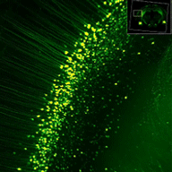 1783047574965916.gif 1783047574965916.gif